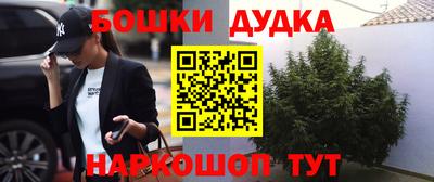 PSILOCYBIN Кингисепп