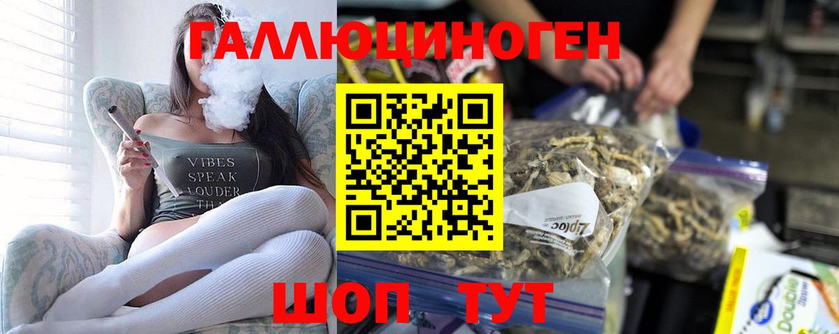Псилоцибиновые грибы мухоморы  Вход с VPN  Севастополь  цена   Галлюциногенные грибы Cubensis 